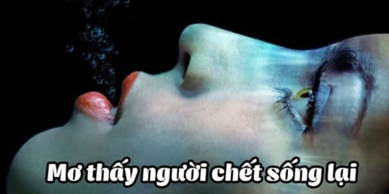 Nằm mơ thấy xác chết đánh số gì? Nằm mơ thấy xác chết đánh số gì?